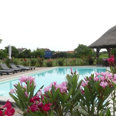 Tisza White House Bed & Breakfast Tiszaszolos Luaran gambar