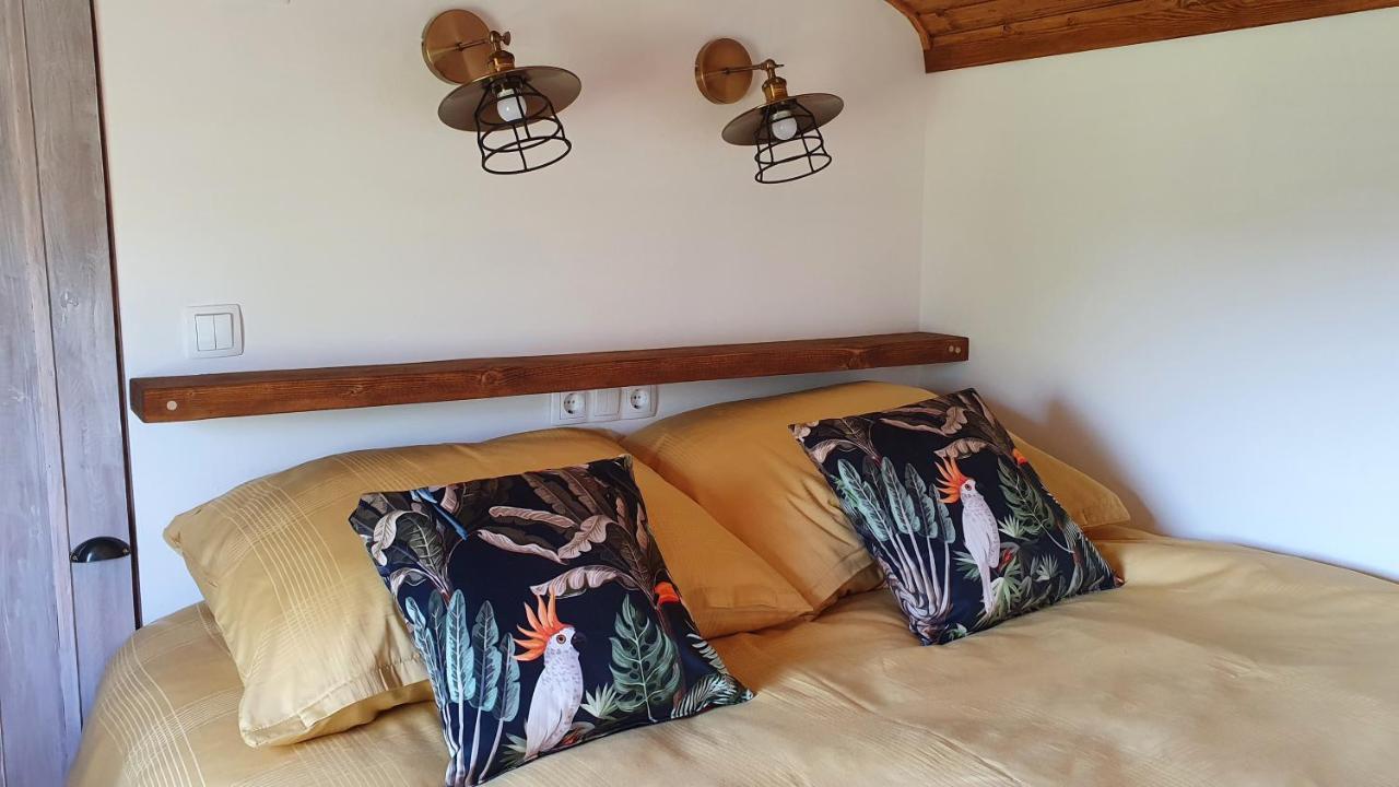 Tisza White House Bed & Breakfast Tiszaszolos Bilik gambar
