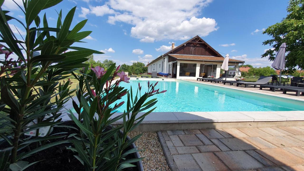 Tisza White House Bed & Breakfast Tiszaszolos Luaran gambar