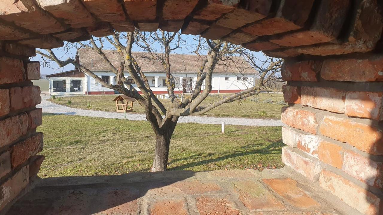 Tisza White House Bed & Breakfast Tiszaszolos Luaran gambar