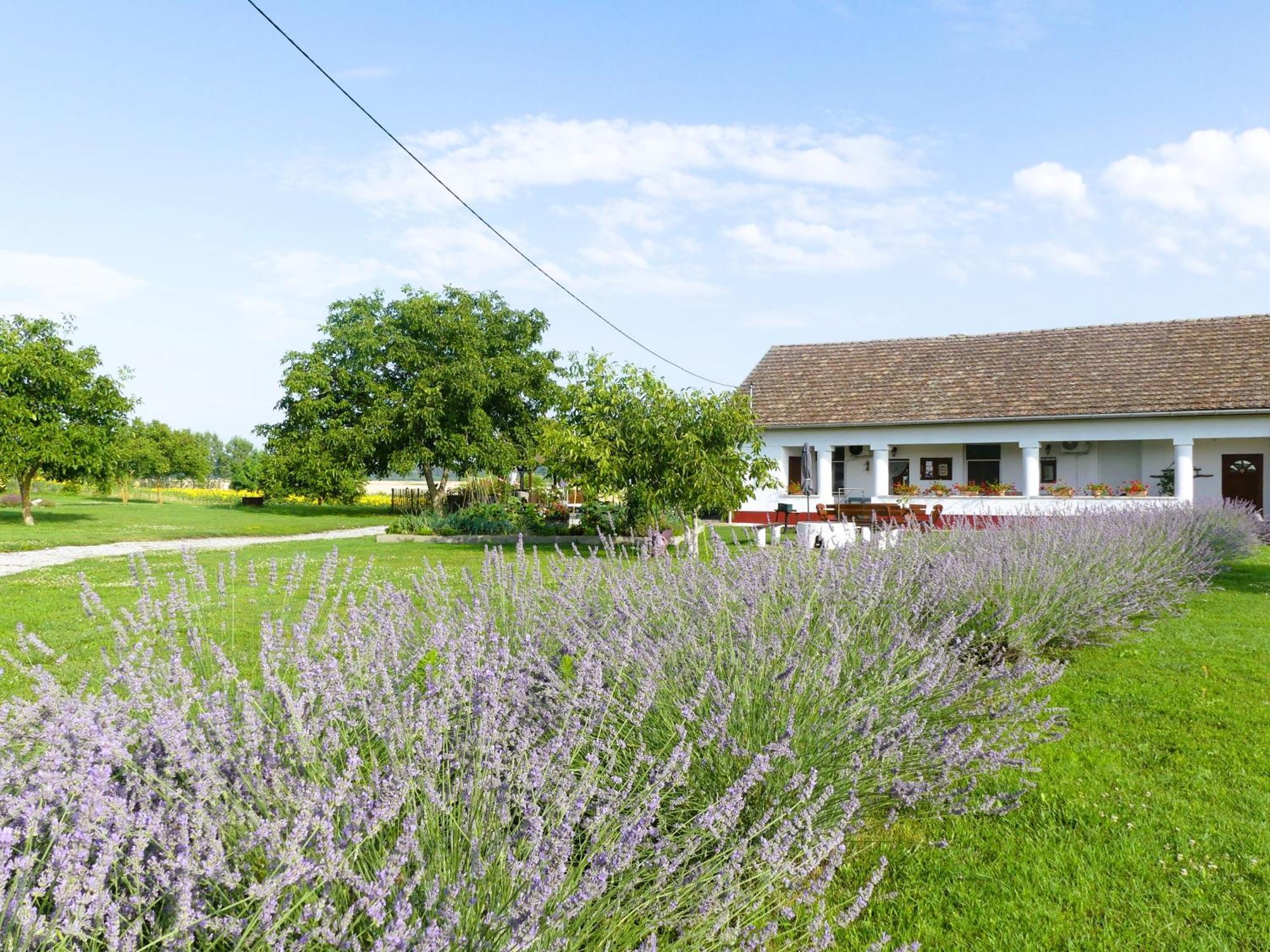Tisza White House Bed & Breakfast Tiszaszolos Luaran gambar