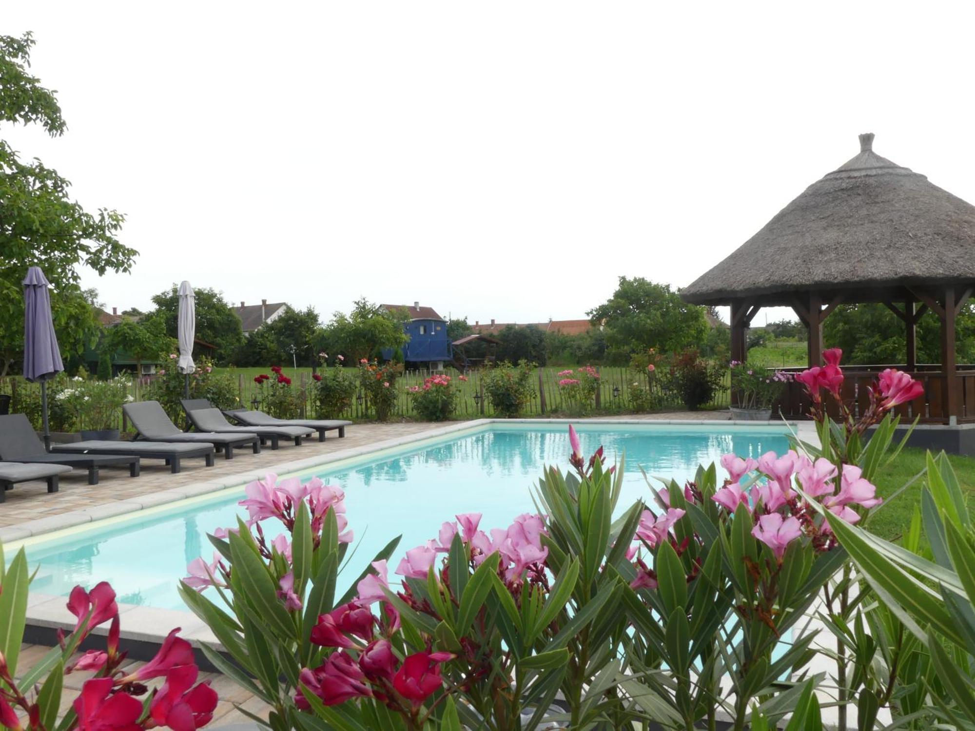 Tisza White House Bed & Breakfast Tiszaszolos Luaran gambar