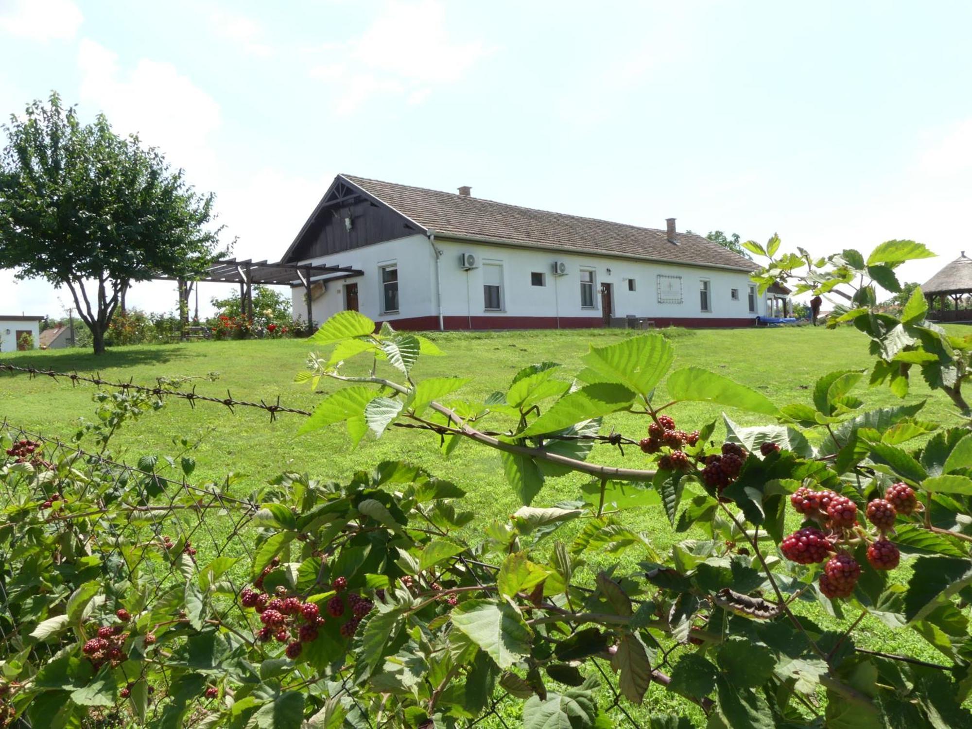 Tisza White House Bed & Breakfast Tiszaszolos Luaran gambar