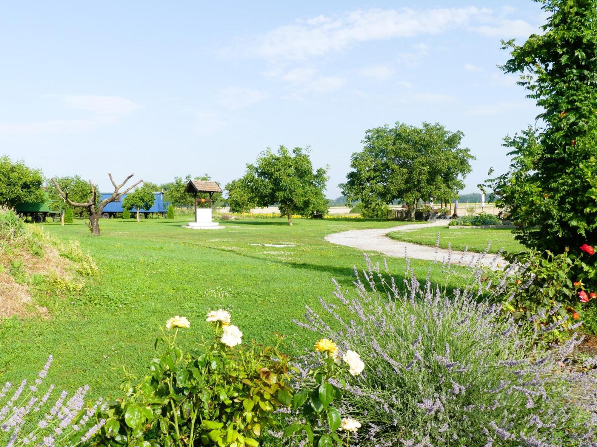 Tisza White House Bed & Breakfast Tiszaszolos Luaran gambar